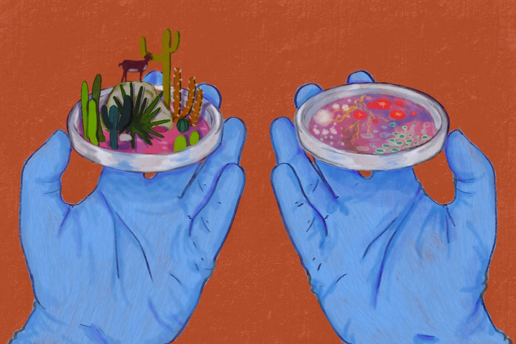 Illustration