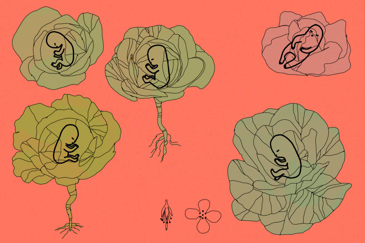 Illustration