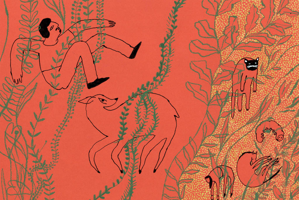 Illustration